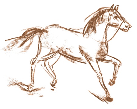 Horse, Hand-drawn, Phase of the movementの写真素材