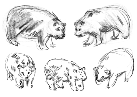 Brown bear. Set. Hand-drawnの写真素材