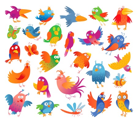 Funny colorful birdies  Vector illustration  Isolated on white background  Setのイラスト素材
