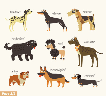 Dog breeds illustration.のイラスト素材