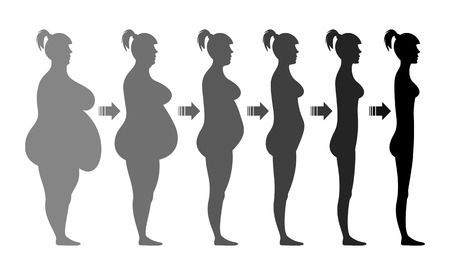 Stages weight loss female figure. Gradual transition from a thick to a slim. Silhouette. Vector illustration. Isolated on white backgroundのイラスト素材