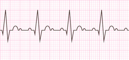 Cardiac cycle. Heart beat cardiogram line. Vector illustration eps10.のイラスト素材