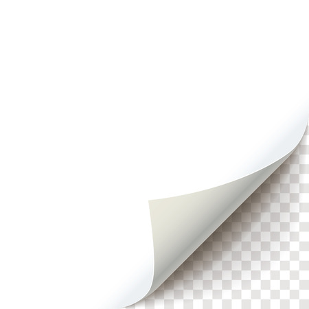 Blank sheet of paper with page curl with transparent shadow. Curly Page Corner realistic illustration. Graphic element for documents, templates, posters, flyers, advertising and promotional messageのイラスト素材
