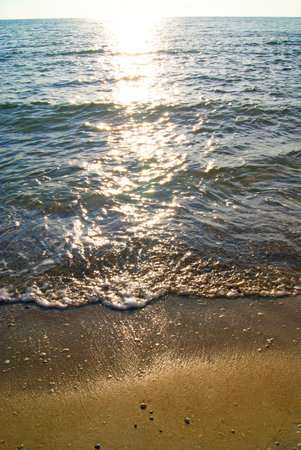 The shore of the Sea of Azov. Ukraineの写真素材