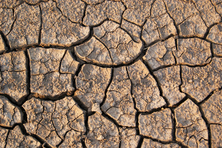 Salt marshes. Dry cracked earth. Close-upの写真素材