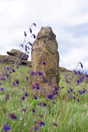 Stone idol in the steppe. Salvia nutans. National Park "Stone Tombs". National Nature Sanctuary. Donetsk. Ukraine.の写真素材