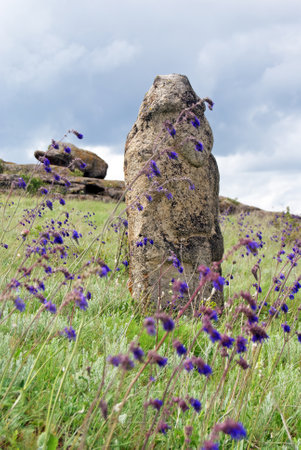 Stone idol in the steppe. Salvia nutans. National Park "Stone Tombs". National Nature Sanctuary. Donetsk. Ukraine.の写真素材