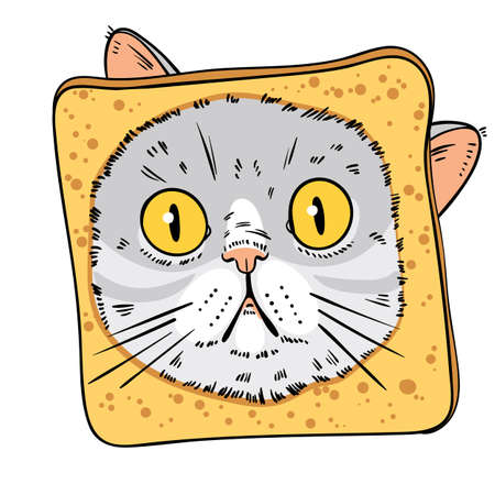 Face of surprised cat is in piece of bread. Cat portrait drawingのイラスト素材