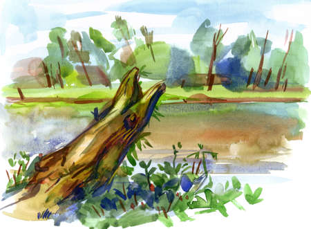 Rotten stump. Drawing with watercolorの写真素材