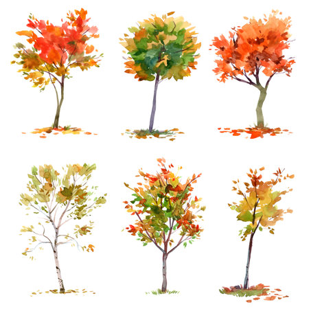 Autumn trees. Drawing with watercolor. Isolated on white backgroundの写真素材