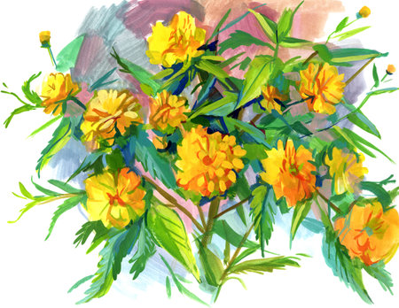 Kerria. Hand-drawn flowers with paints. Freehand drawing with watercolorの写真素材