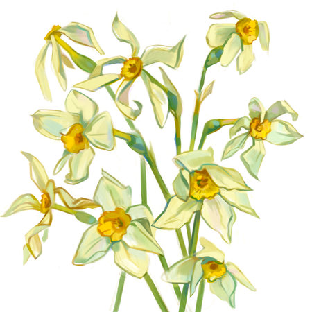 Narcissus. Hand-drawn flowers with paints. Freehand drawing with watercolorの写真素材