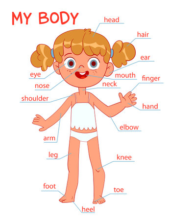My body parts. Girl. Cartoon styleのイラスト素材