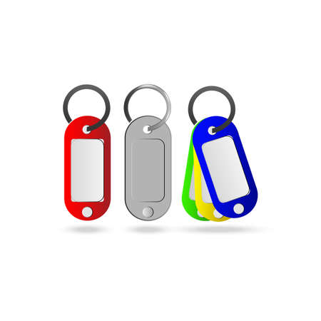 Set of multi-colored key chains for plasticのイラスト素材