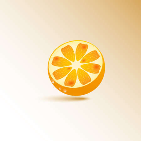 Oranges image. Citrus fruit.のイラスト素材