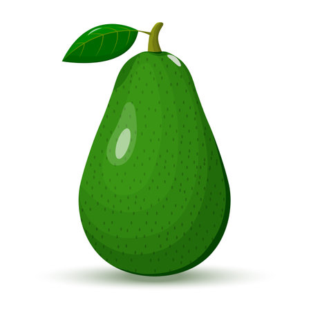 Whole avocado with leaf isolated on white background. Vector illustration. Flat designのイラスト素材