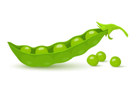 Green pea. Green peas pods isolated on white background, vector flat styleのイラスト素材
