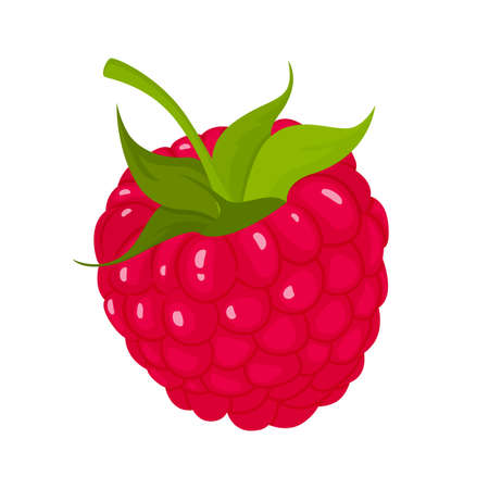Raspberry with leaf, isolated on white background, Raspberry vector icon clipart. Raspberry icon, flat cartoon illustrationのイラスト素材