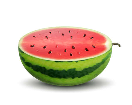 Half Watermelon with seeds isolated on white background. Fresh watermelon fruit design element for summer time. Fresh cut and sliced watermelon. Juicy fruit. Realistic 3d vectorのイラスト素材