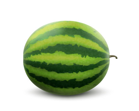Whole Watermelon Fruit isolated on white background. Fresh delicious watermelon. Realistic 3d vector illustration. Fresh summer fruit high in minerals and vitamins. Harvested Watermelons.のイラスト素材