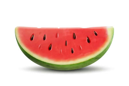 Slice of watermelon. Vector 3d realistic ripe fresh fruit watermelon piece isolated on white background. Illustration of juicy red watermelon slice with pitsのイラスト素材