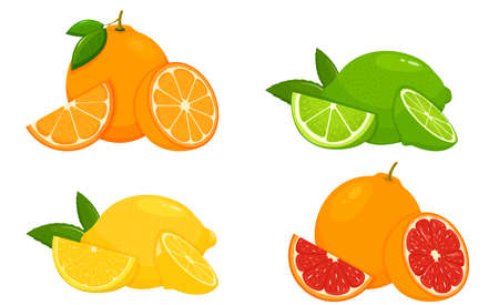 Set of citrus lemon, mandarin, lime, orange, grapefruit - whole, cut half. Fresh sour citrus fruit with vitamins. Piece and slice citrus. Vector illustration isolated on white backgroundのイラスト素材