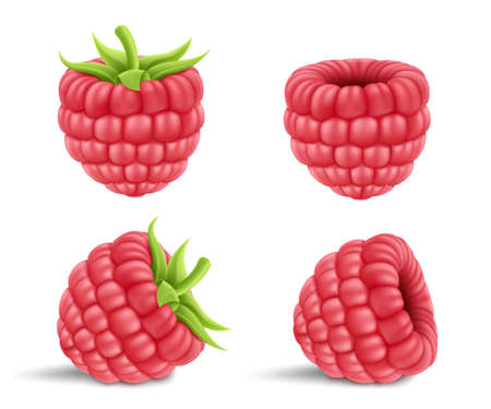 Collection of ripe raspberries isolated on background. Natural summer fruit, realistic 3d vector illustration. Ingredient for juices, jams, yogurts, compotes. Mockup for package designのイラスト素材