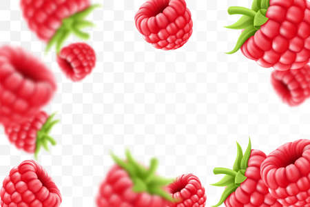 Raspberry background. Flying raspberry with green leaf on transparent background. Raspberry falling...