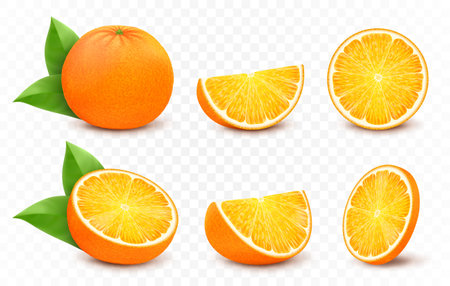 Orange with leaves, half, slice, circle and whole juicy fruit isolated on white background. Realistic 3d vector citrus setのイラスト素材