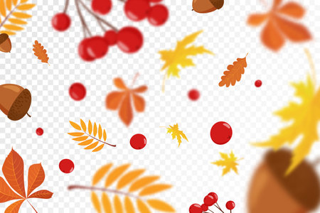 Falling colorful autumn maple and oak leaves, viburnum and acorns with defocused blur effect. Autumn background with leaf fall for your design. vector illustration. flat designのイラスト素材