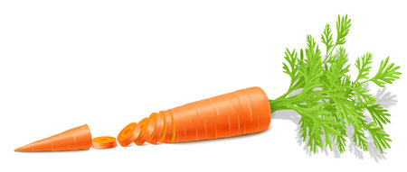 Carrots with leaves isolated on white background. Whole ripe carrots and slices. Fully editable handmade mesh. Realistic 3d vector illustration. For cooking, menu, Herbal medicine, advertisingのイラスト素材