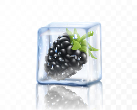 Fresh ripe blackberry in ice cube isolated on transparent background. Frozen blackberry, realistic 3d vector illustrationのイラスト素材