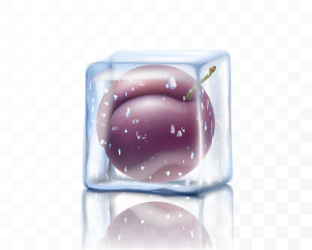 Fresh ripe plum in ice cube isolated on transparent background. Frozen sweet plum, realistic 3d vector illustrationのイラスト素材
