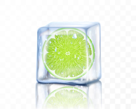 Fresh ripe lime slice in ice cube isolated on transparent background. Frozen piece of lime. Realistic 3d vector illustrationのイラスト素材