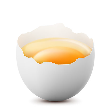 Broken chicken egg half with a yolk isolated on a white background. Raw ?hicken egg smashed. healthy diet. Realistic 3d vector illustrationのイラスト素材