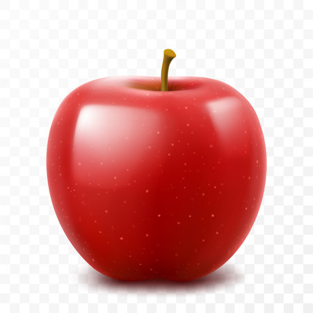 Red delicious juicy apple isolated on transparent background. Realistic 3D vector illustrationのイラスト素材
