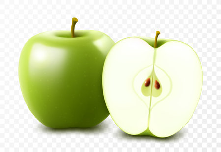 Green ripe juicy apple isolated on transparent background. A whole apple and a half of a delicious apple. Realistic 3d vector illustration. Template for your designのイラスト素材