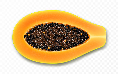 Natural fresh papaya half with seeds. Fruits papaw isolated on transparent background. Tropical, exotic fruit. Realistic 3d vector illustration.のイラスト素材