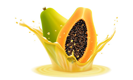 Natural fresh papaya in a splash of juice with drops. Tropical Fruits Papaya From Indonesia, Refreshing splash of juice with an papaya, realistic 3d vector illustrationのイラスト素材