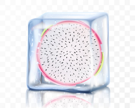 Fresh ripe dragon fruit in ice cube isolated on transparent background Frozen tropical pitaya or pitahaya fruit. Realistic 3d vector illustration. Bright exotic summer designのイラスト素材