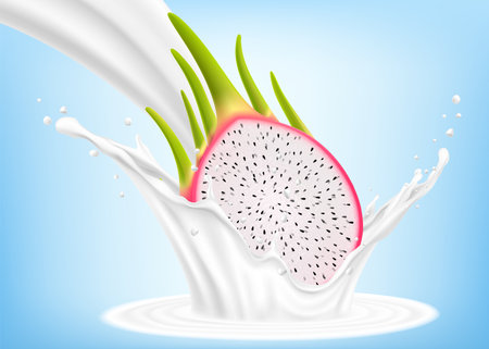 Exotic, tropical Dragon fruit in splash of yogurt or milk, cocktail splash and drops, Milkshake splash with pitaya or pitahaya. Realistic 3d vector illustrationのイラスト素材