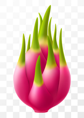 Dragon fruit Pitaya or pitahaya isolated on transparent background. Exotic dragon fruit. Summer tropical vitamin fruits. Fresh ripe eating with white flesh. Realistic 3d vector illustration.のイラスト素材