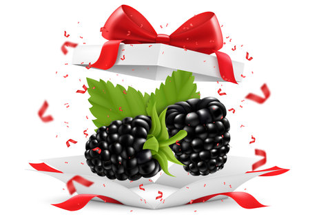 Fresh juicy blackberry in open gift box with a red bow isolated on transparent background. Ripe blackberry as a gift, Summer design. Healthy food, vegetarian dieting. Realistic 3d vector illustrationのイラスト素材