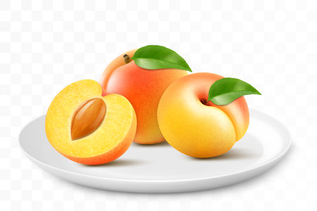 Ripe juicy apricot on a white plate isolated on a transparent background. Whole apricot fruits and sliced. Healthy vitamin food. Realistic 3d vector illustrationのイラスト素材
