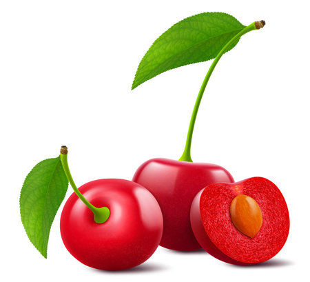 Ripe cherries with leaves isolated on a white background. Whole red cherry and half cherry with pit, realistic 3d vector illustration. Ripe of berries, glistening with vibrant hues.のイラスト素材