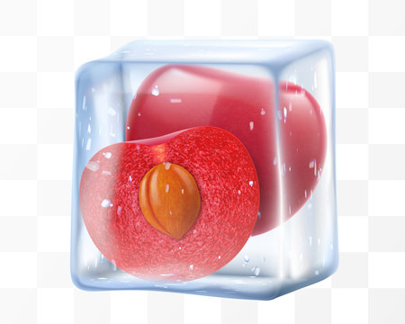 Fresh ripe cherry in ice cube isolated on transparent background. Frozen tasty juicy cherry, realistic 3d vector illustration. Bright summer refreshing designのイラスト素材