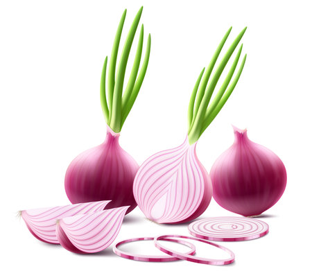 Whole, half and slices of fresh onion. Set of ripe red onion with green feather isolated on transparent background. Healthy food. Natural vegetable. Realistic 3d vector illustrationのイラスト素材