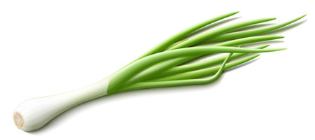 Bunch of fresh green onions isolated on white background. Spring chives, green vegetables, onion flavor. Realistic 3d vector illustrationのイラスト素材