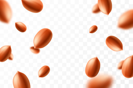Falling peanuts, isolated on transparent background, selective focus. Flying peanut with blurry effect. Can be used for advertising, packaging, banner, poster. Realistic 3d vector illustrationのイラスト素材