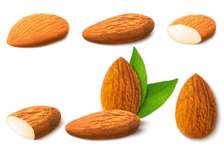 Almond nut composition, different statements. Whole and cracked nuts, hulled and raw kernels and green leaves. Good for labels and stickers, packaging design. Realistic 3d Vector illustrationのイラスト素材